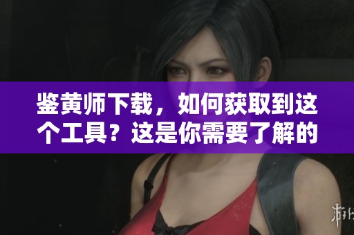 鉴黄师下载，如何获取到这个工具？这是你需要了解的信息！