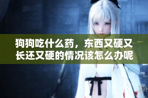 狗狗吃什么药，东西又硬又长还又硬的情况该怎么办呢