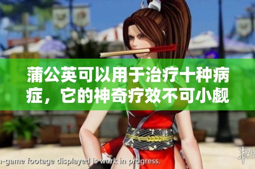 蒲公英可以用于治疗十种病症，它的神奇疗效不可小觑