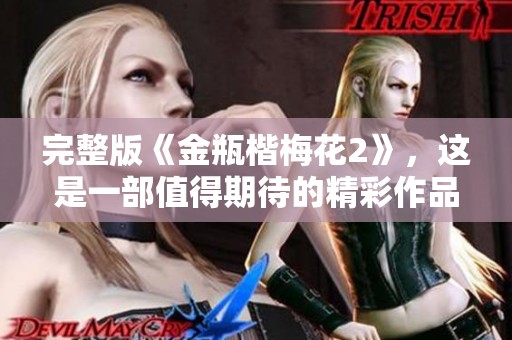 完整版《金瓶楷梅花2》，这是一部值得期待的精彩作品