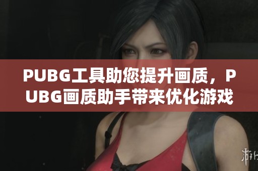 PUBG工具助您提升画质，PUBG画质助手带来优化游戏体验