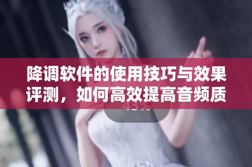 降调软件的使用技巧与效果评测，如何高效提高音频质量