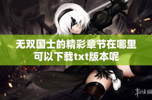无双国士的精彩章节在哪里可以下载txt版本呢