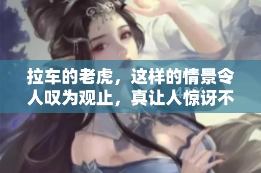 拉车的老虎，这样的情景令人叹为观止，真让人惊讶不已。