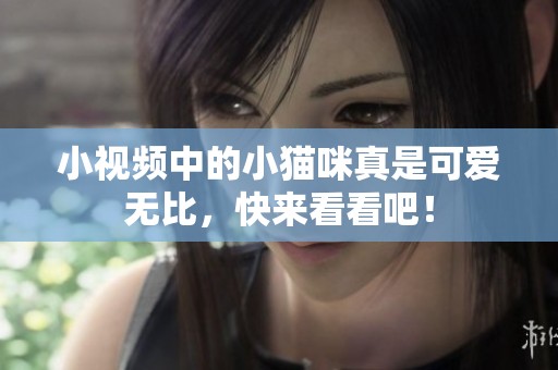 小视频中的小猫咪真是可爱无比，快来看看吧！