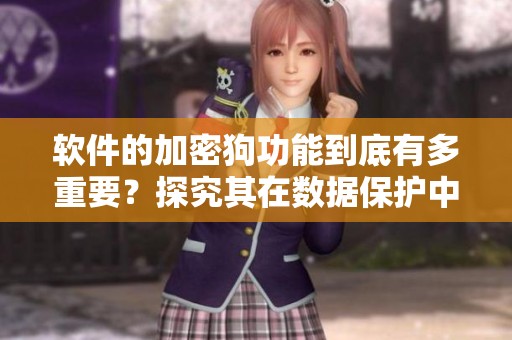 软件的加密狗功能到底有多重要？探究其在数据保护中的关键作用