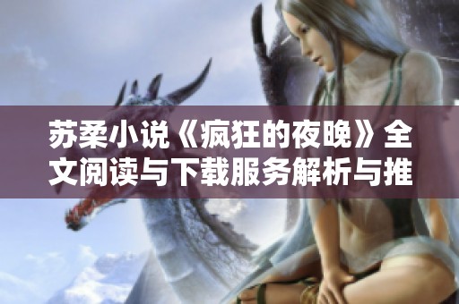 苏柔小说《疯狂的夜晚》全文阅读与下载服务解析与推荐