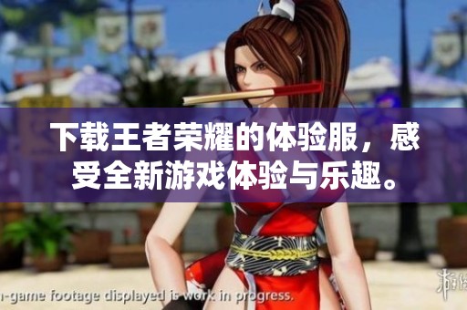 下载王者荣耀的体验服，感受全新游戏体验与乐趣。