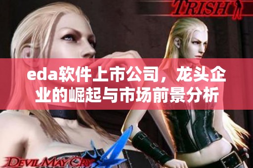 eda软件上市公司，龙头企业的崛起与市场前景分析