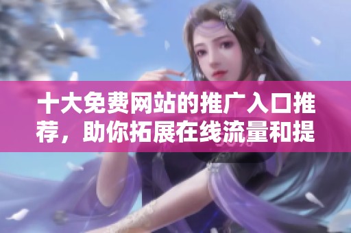 十大免费网站的推广入口推荐，助你拓展在线流量和提升曝光度