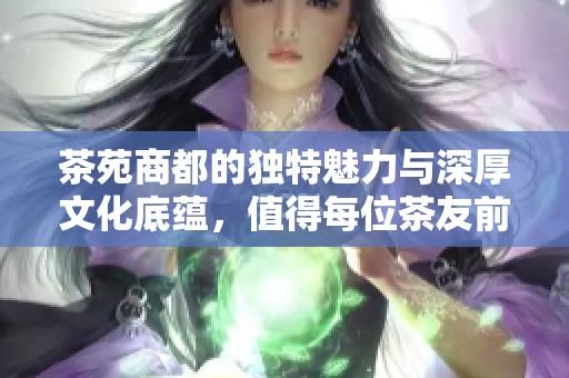茶苑商都的独特魅力与深厚文化底蕴，值得每位茶友前来体验与品味