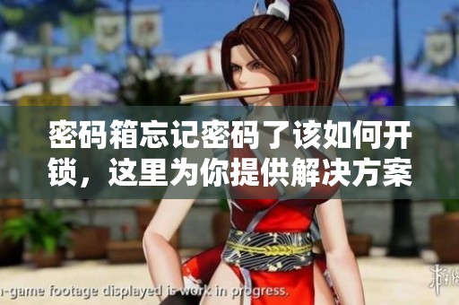 密码箱忘记密码了该如何开锁，这里为你提供解决方案