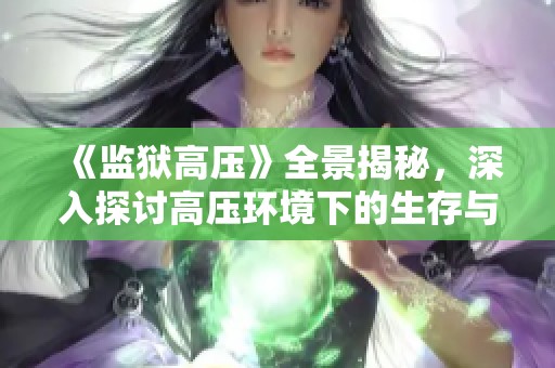 《监狱高压》全景揭秘，深入探讨高压环境下的生存与挑战
