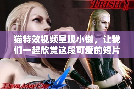 猫特效视频呈现小懒，让我们一起欣赏这段可爱的短片！