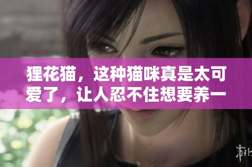 狸花猫，这种猫咪真是太可爱了，让人忍不住想要养一只！