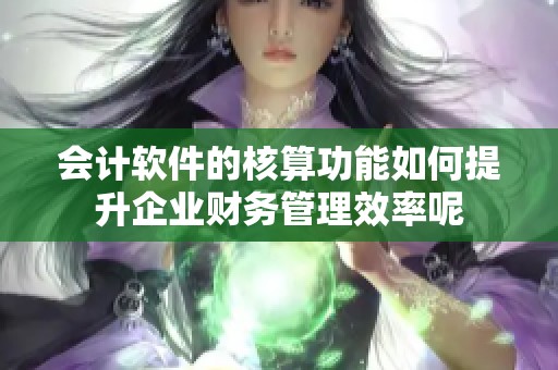 会计软件的核算功能如何提升企业财务管理效率呢