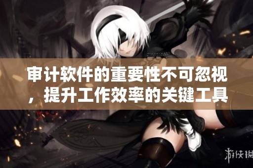 审计软件的重要性不可忽视，提升工作效率的关键工具是什么