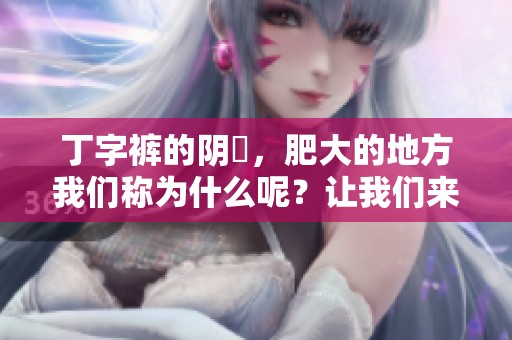 丁字裤的阴脣，肥大的地方我们称为什么呢？让我们来深入了解一下这个话题。