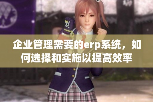 企业管理需要的erp系统，如何选择和实施以提高效率