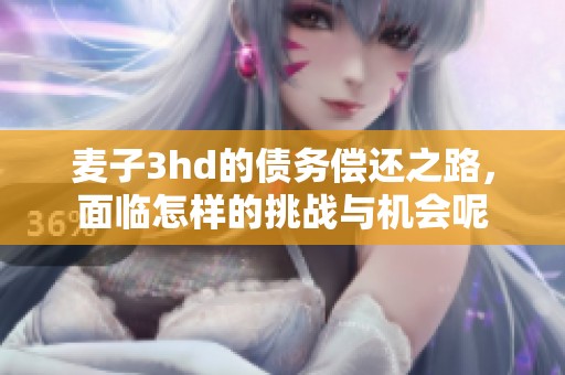 麦子3hd的债务偿还之路，面临怎样的挑战与机会呢