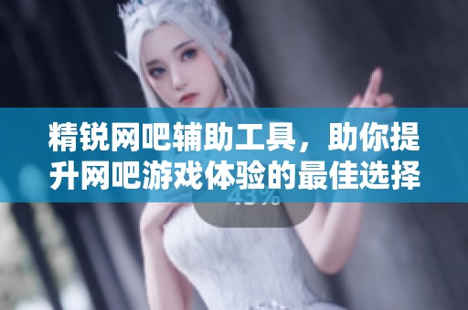 精锐网吧辅助工具，助你提升网吧游戏体验的最佳选择