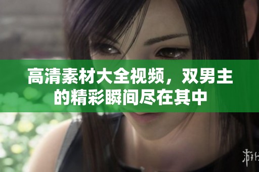 高清素材大全视频，双男主的精彩瞬间尽在其中