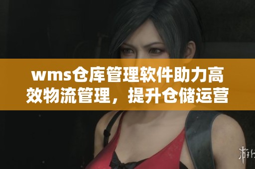 wms仓库管理软件助力高效物流管理，提升仓储运营效率的好帮手