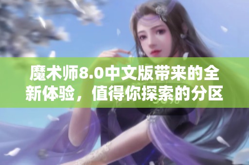 魔术师8.0中文版带来的全新体验，值得你探索的分区新玩法！