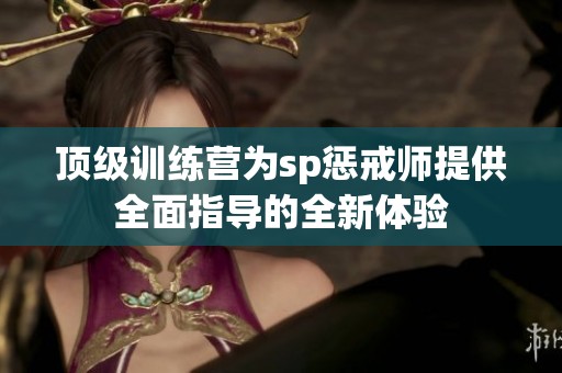 顶级训练营为sp惩戒师提供全面指导的全新体验