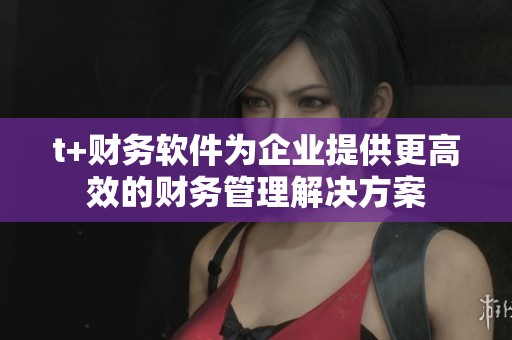t+财务软件为企业提供更高效的财务管理解决方案