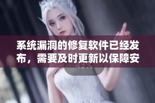 系统漏洞的修复软件已经发布，需要及时更新以保障安全性