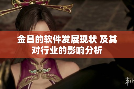 金昌的软件发展现状 及其对行业的影响分析