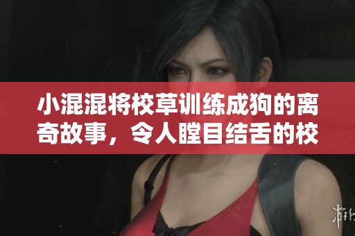 小混混将校草训练成狗的离奇故事，令人瞠目结舌的校园逆转之路