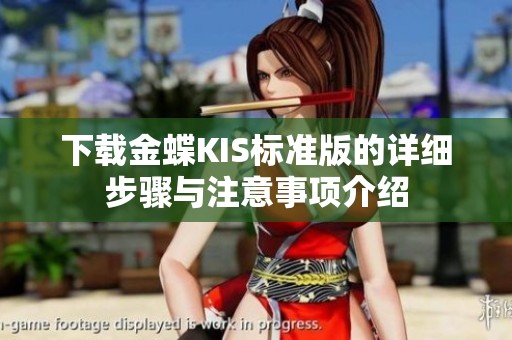 下载金蝶KIS标准版的详细步骤与注意事项介绍
