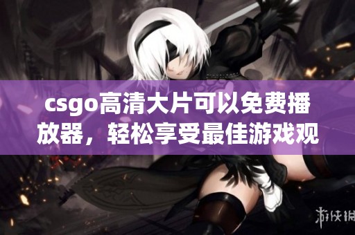 csgo高清大片可以免费播放器，轻松享受最佳游戏观赏体验