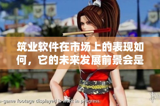 筑业软件在市场上的表现如何，它的未来发展前景会是怎样呢