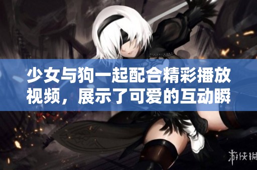 少女与狗一起配合精彩播放视频，展示了可爱的互动瞬间