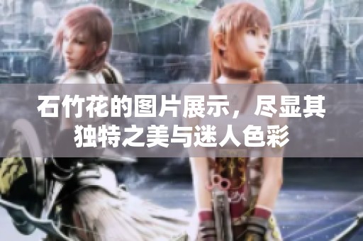 石竹花的图片展示，尽显其独特之美与迷人色彩