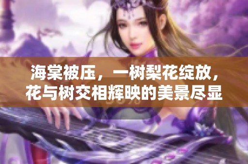 海棠被压，一树梨花绽放，花与树交相辉映的美景尽显魅力
