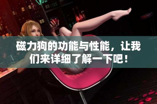 磁力狗的功能与性能，让我们来详细了解一下吧！