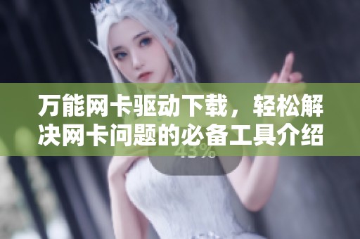 万能网卡驱动下载，轻松解决网卡问题的必备工具介绍