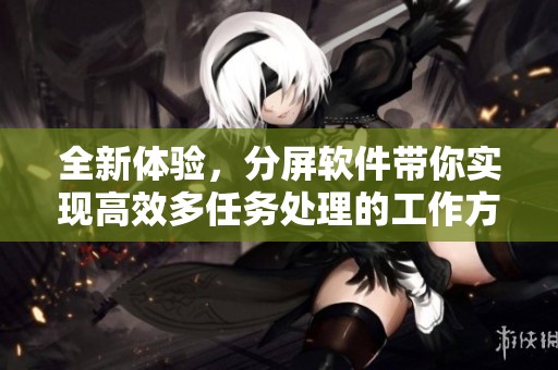 全新体验，分屏软件带你实现高效多任务处理的工作方式