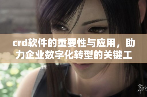 crd软件的重要性与应用，助力企业数字化转型的关键工具