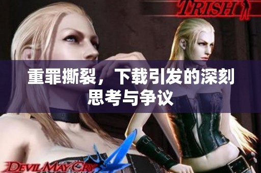 重罪撕裂，下载引发的深刻思考与争议