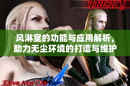 风淋室的功能与应用解析，助力无尘环境的打造与维护