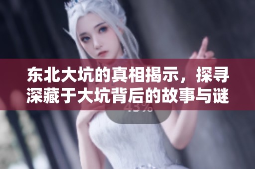 东北大坑的真相揭示，探寻深藏于大坑背后的故事与谜团