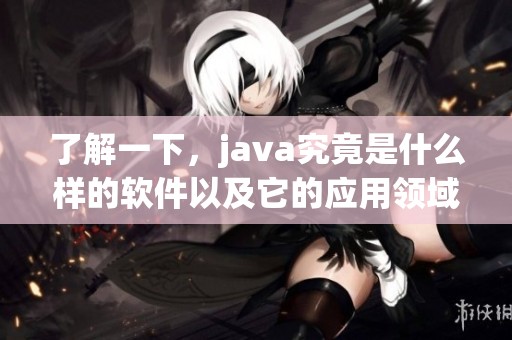 了解一下，j**a究竟是什么样的软件以及它的应用领域