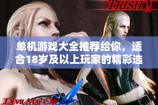 单机游戏大全推荐给你，适合18岁及以上玩家的精彩选择