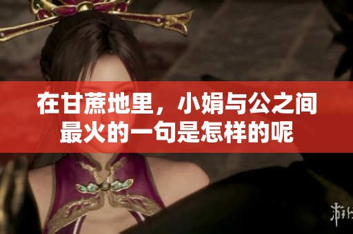 在甘蔗地里，小娟与公之间最火的一句是怎样的呢