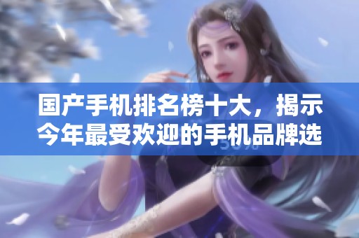 国产手机排名榜十大，揭示今年最受欢迎的手机品牌选择